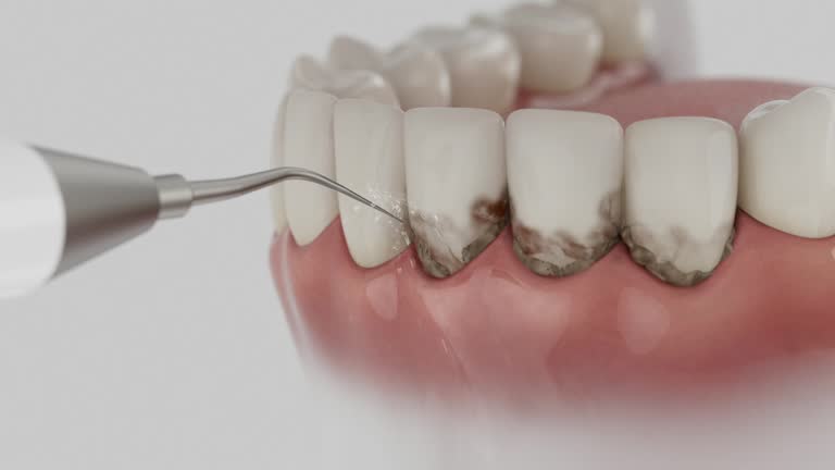 Reliable Dental contractor in Quantico Base, VA by Dentist Open Now